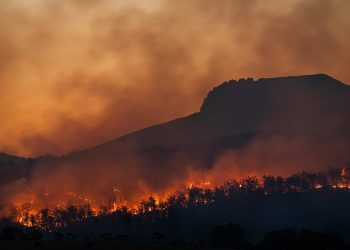 Rozsáhlé lesní požáry v Evropě přinášejí vážná zdravotní rizika