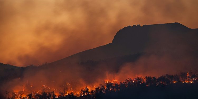 Rozsáhlé lesní požáry v Evropě přinášejí vážná zdravotní rizika