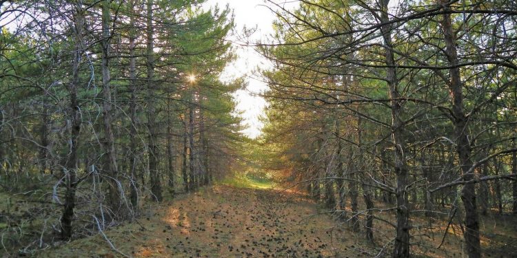 Tradiční zemědělství nezpůsobuje jen zkázu, ukazují nepsaná pravidla
