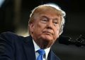 Trump otevřel trh zahraničnímu hovězímu, chovatelé i republikáni protestují